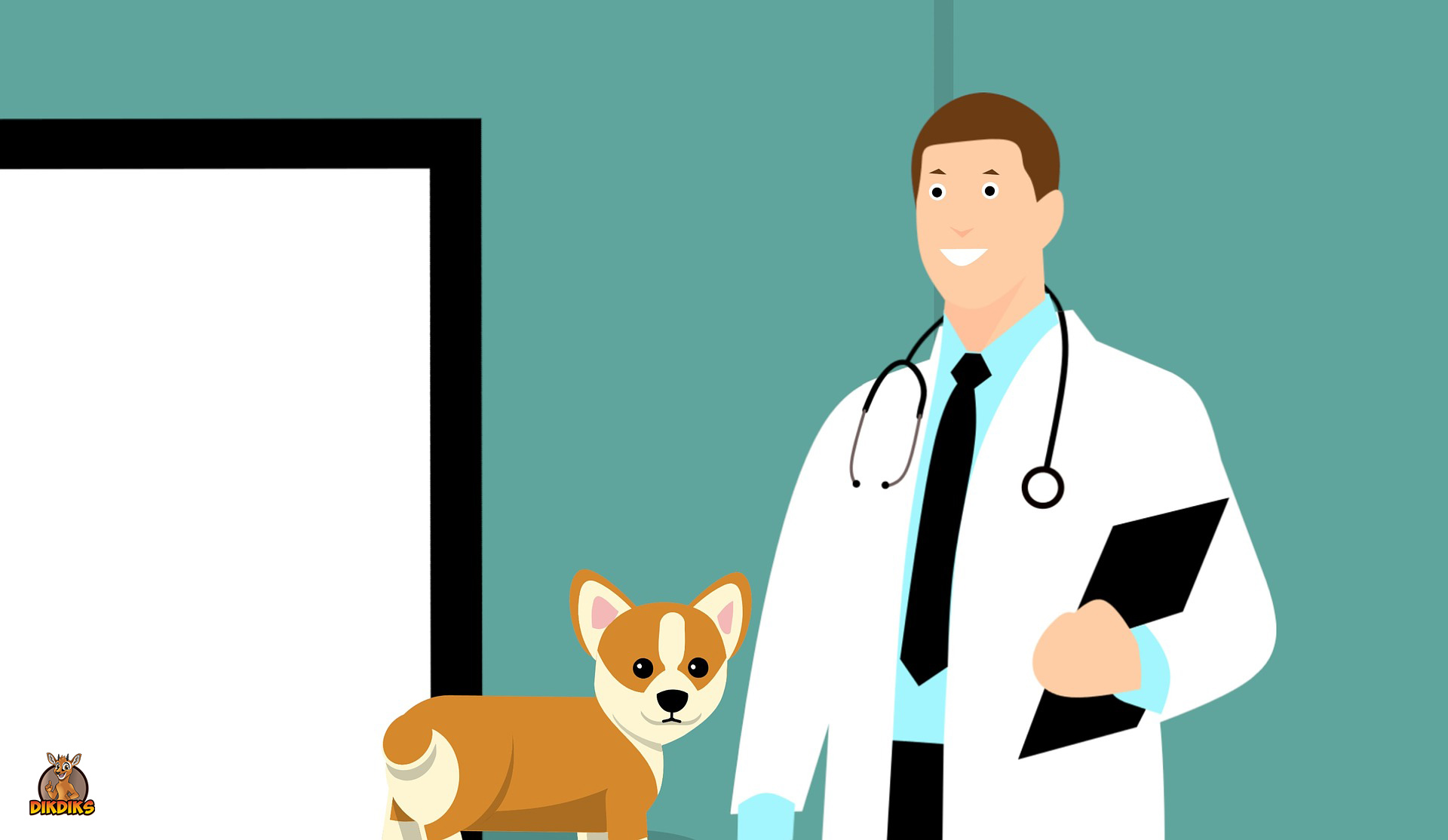 Hund-beim-Tierarzt